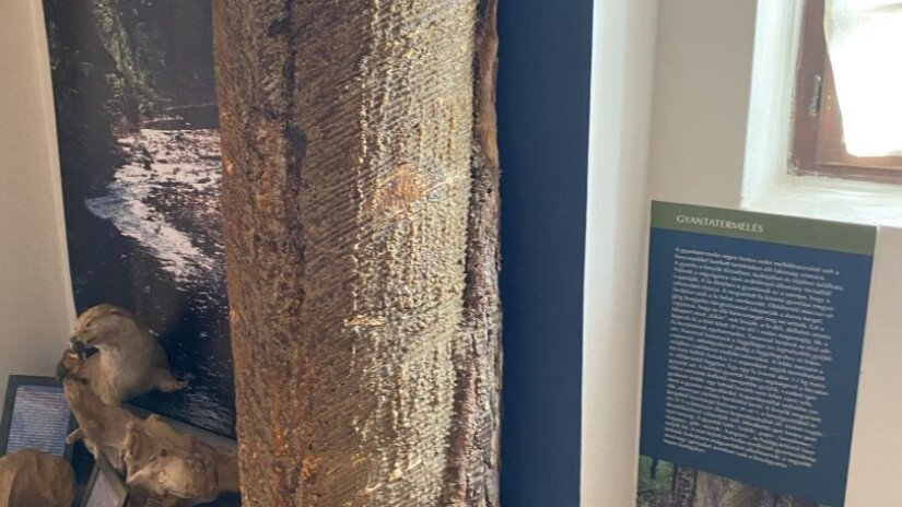 slidebg4 Erdők Háza