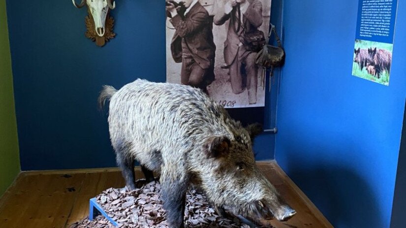 slidebg4 Erdők Háza