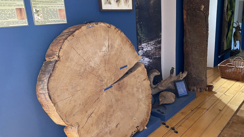 slidebg4 Erdők Háza