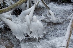 Frosty stream (Aszófői-séd)
