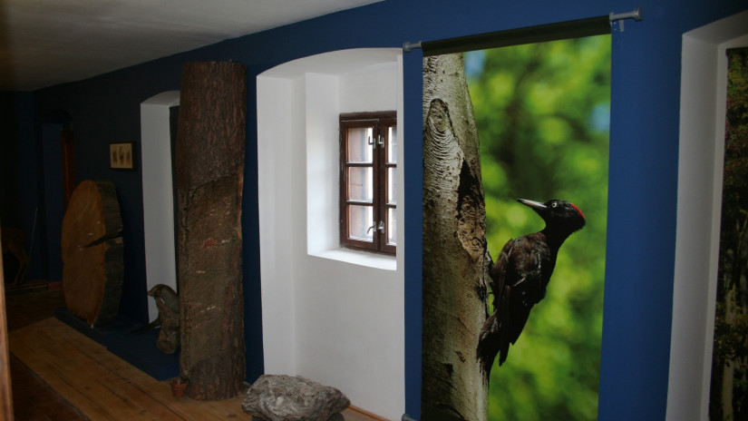 slidebg4 House of Forests, visiting room