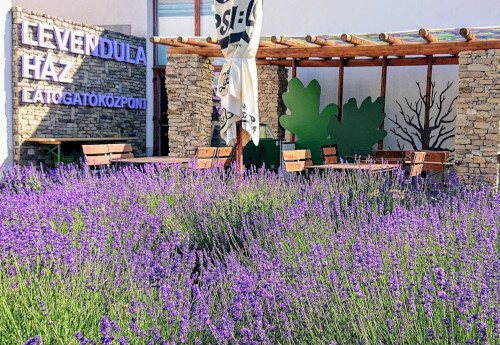 Levendula Ház Látogatóközpont, Tihany