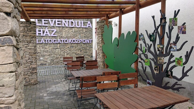 slidebg4 Pergola a Levendula Ház kertjében