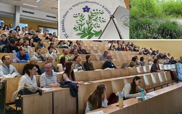 Kollégáink részt vettek a XV. „Aktuális Flóra- és Vegetációkutatás a Kárpát-medencében” konferencián