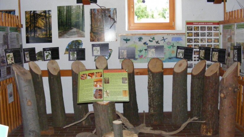 Baumarten in der Waldschule in Bakonybél