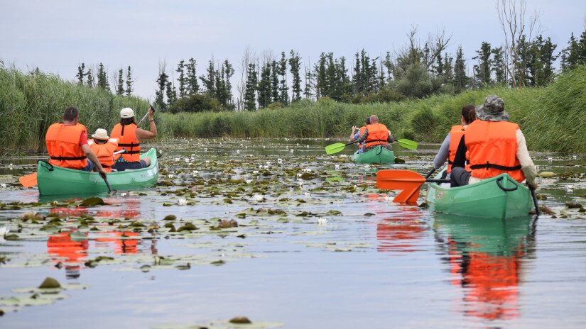 Canoeing at Kis-Balaton