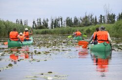 Canoeing at Kis-Balaton