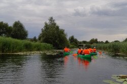 Canoeing at Kis-Balaton