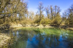 Duna-Dráva Nemzeti Park