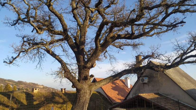 Geotúra Balatonfüred térségében, Fotó: Sárdy julianna