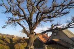 Geotúra Balatonfüred térségében, Fotó: Sárdy julianna