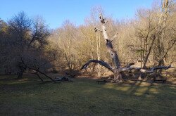 Geotúra Balatonfüred térségében, Fotó: Sárdy julianna