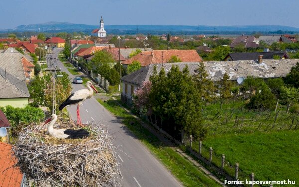 KEHOP-4.1.0-15-2016-00025 Veszélyeztetett madárfajok és denevérfajok megőrzése