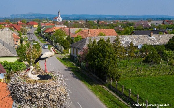 KEHOP-4.1.0-15-2016-00025 Veszélyeztetett madárfajok és denevérfajok megőrzése