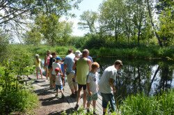 Guided tour