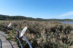 Guided tour on Tihany Peninsula