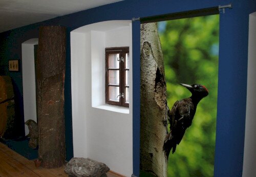 Haus der Wälder, Bakonybél