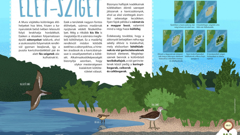 slidebg4 Kavicszátony tábla: Élet-sziget