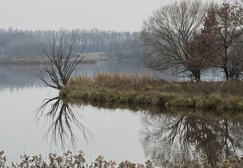 Víz világnapja a Kis-Balatonon – Miként juthatunk információhoz vizeink állapotáról? 2025-03-22