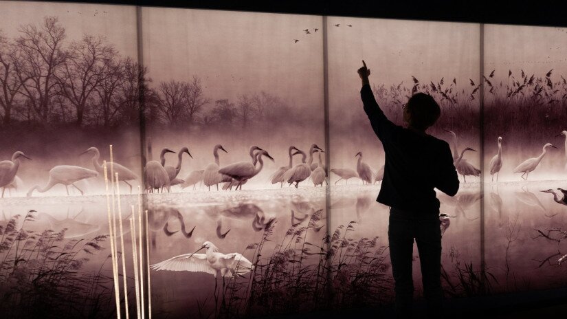 Kis-Balaton Visitor Centre, main building, exhibition 