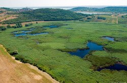 Lakes of Tihany: Inner Lake, Outer Lake