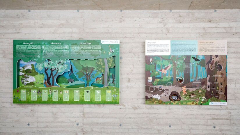 slidebg4 Lóczy-barlang - kiállítás