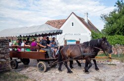 Lovaskocsival a majorból a Pálos kolostorhoz