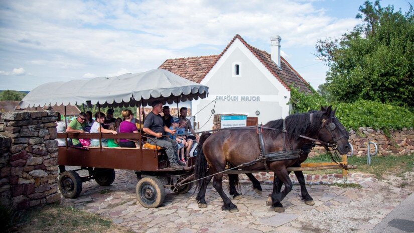 Lovaskocsival a majorból a Pálos kolostorhoz