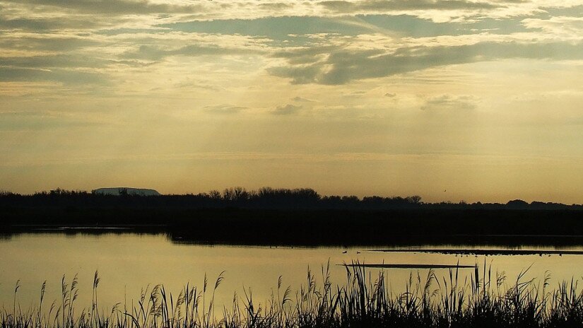 Morning lights at Kis-Balaton