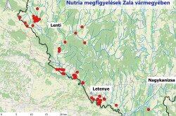 Nutria megfigyelések Zala vármegyében