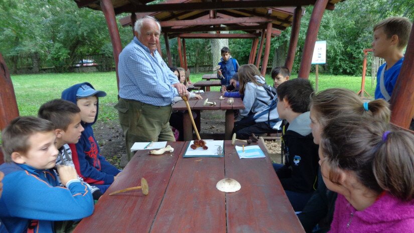 Pilzerkennung in der Waldschule in Tihany