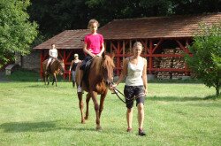 Reiten, Waldschule in Bakonybél