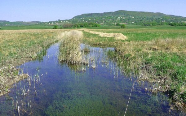 Komplex vizes élőhely fejlesztés a Sásdi-rét NATURA2000 területen