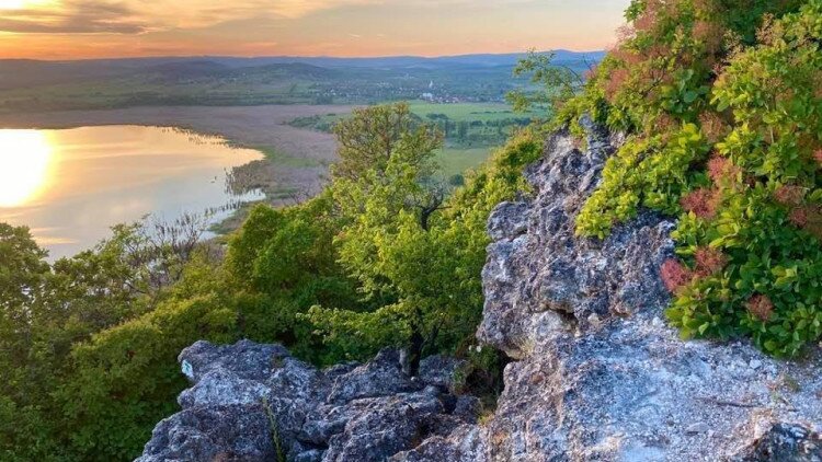 Natura 2000 fenntartási tervek