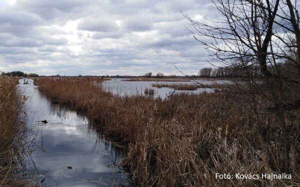 KEHOP-4.1.0-15-2016-00056 Vizes élőhely-rekonstrukciók a Balaton-felvidéki Nemzeti Park Igazgatóság Somogy- és Zala megyei területein