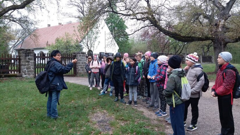 Waldschule in Tihany, Tour