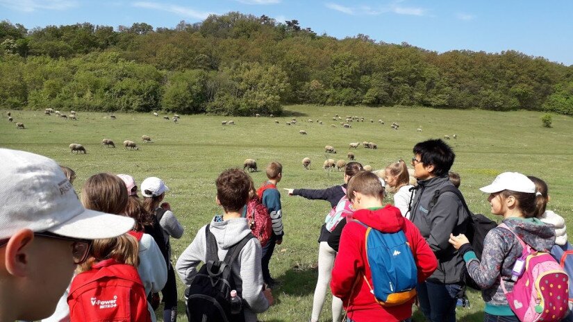 Waldschule in Tihany, Tour