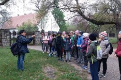 Waldschule in Tihany, Tour