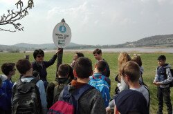 Waldschule in Tihany, Tour