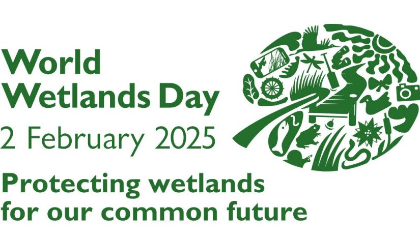 World Wetlands Day 2025 - logo