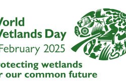 World Wetlands Day 2025 - logo